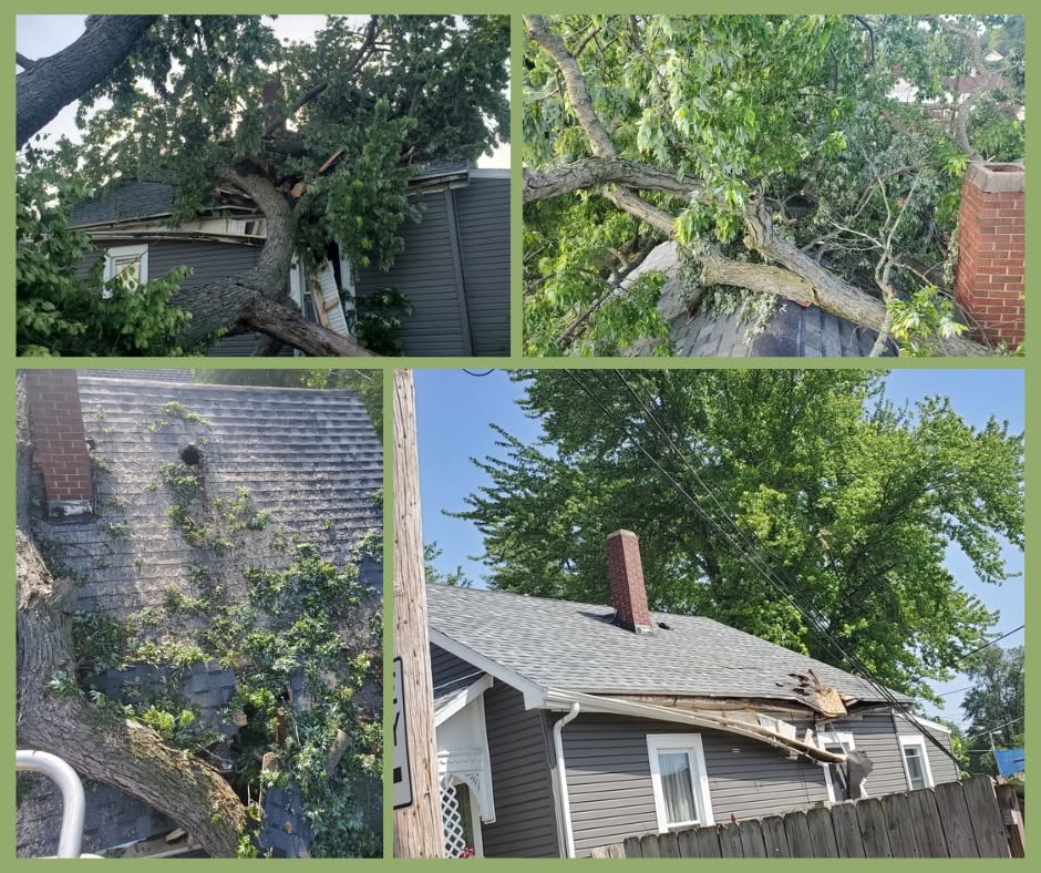 Storm damage clean-up