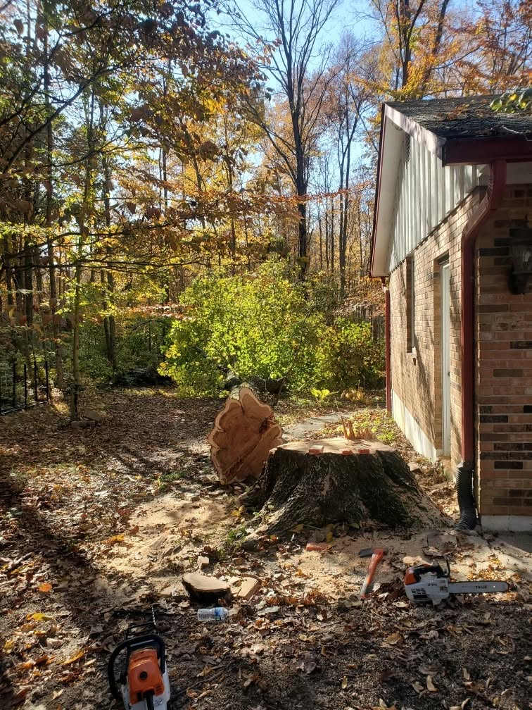 Tree service work